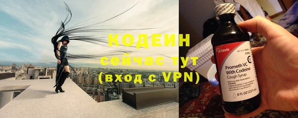 ПСИЛОЦИБИНОВЫЕ ГРИБЫ Няндома