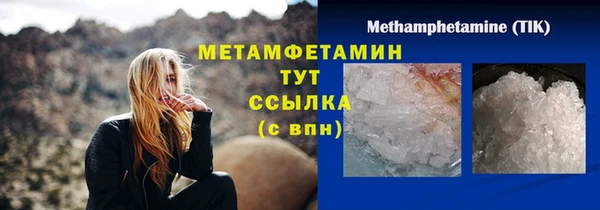 ПСИЛОЦИБИНОВЫЕ ГРИБЫ Няндома