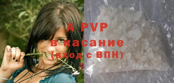 ПСИЛОЦИБИНОВЫЕ ГРИБЫ Няндома